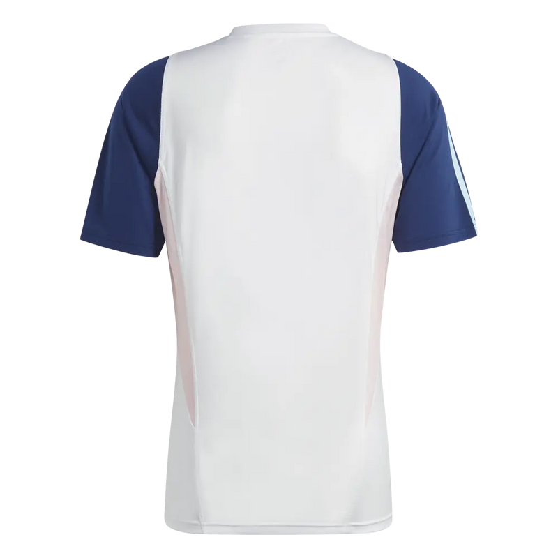 Camisola de Treino Ajax 23/24 - Branco e Azul